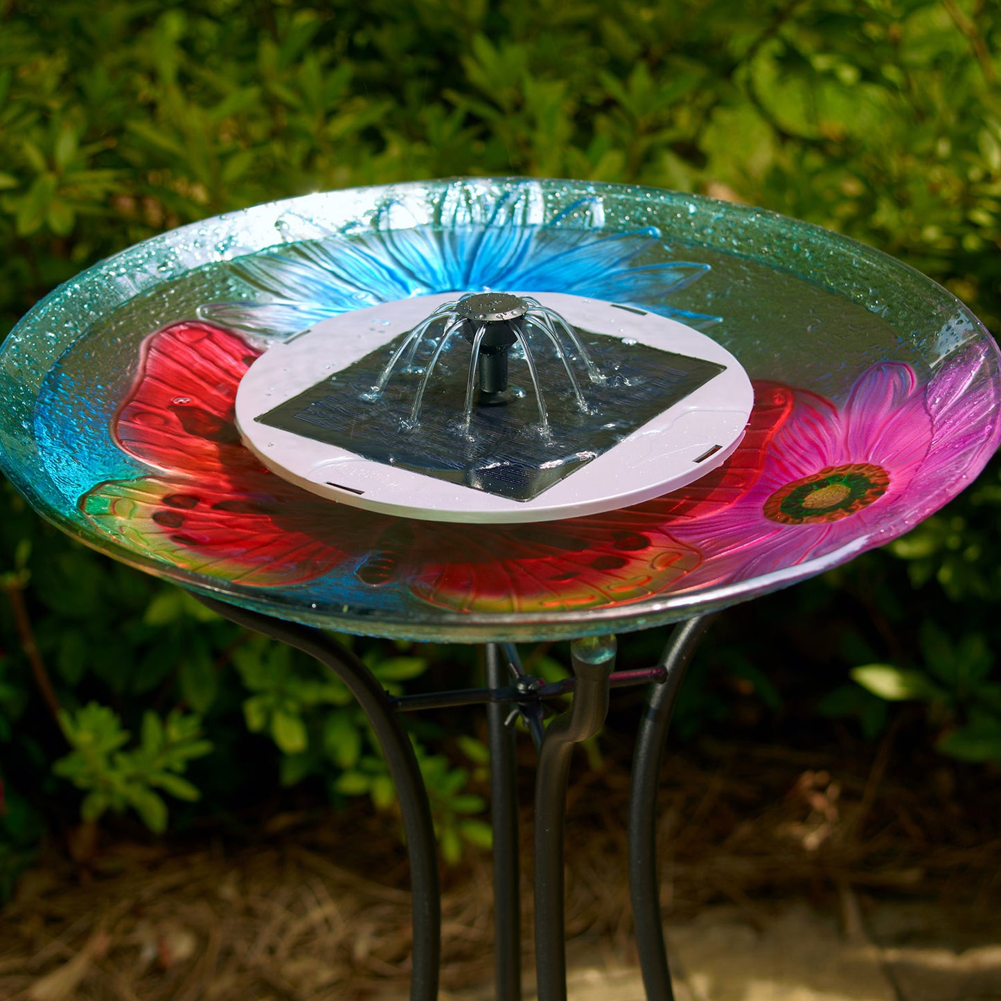 Aquanura 9" Solar Birdbath Insert for Traditional Birdbaths