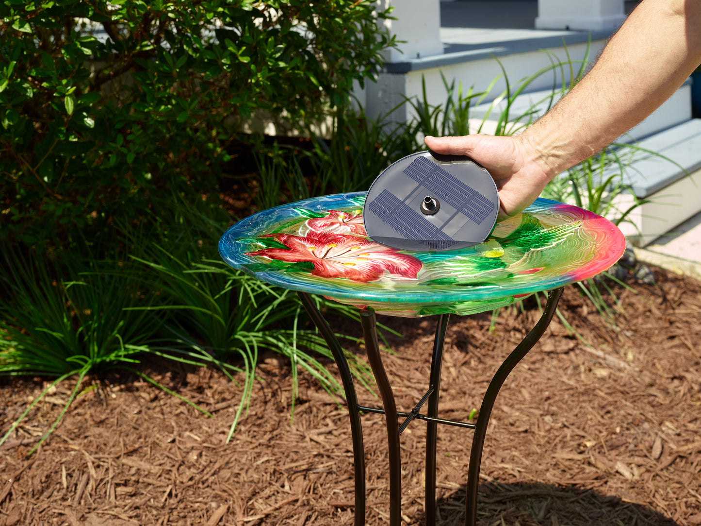 Aquanura LP 6" Solar Insert for Traditional Birdbaths