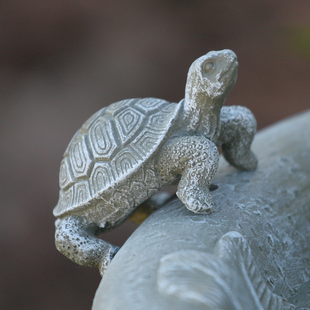 Turtle for Country Garden Birdbath & 2-Tier Fountains