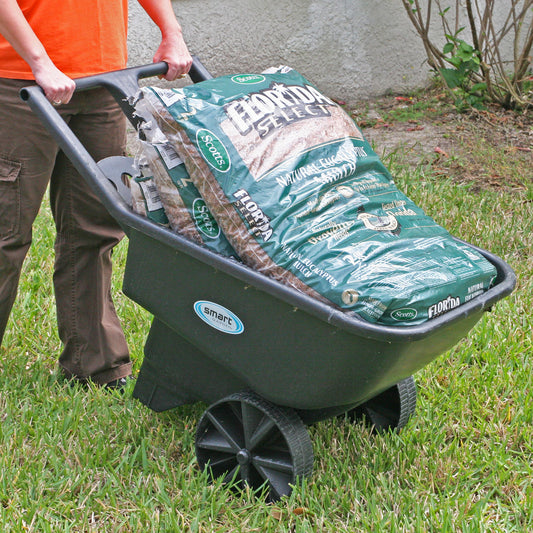Smart Cart