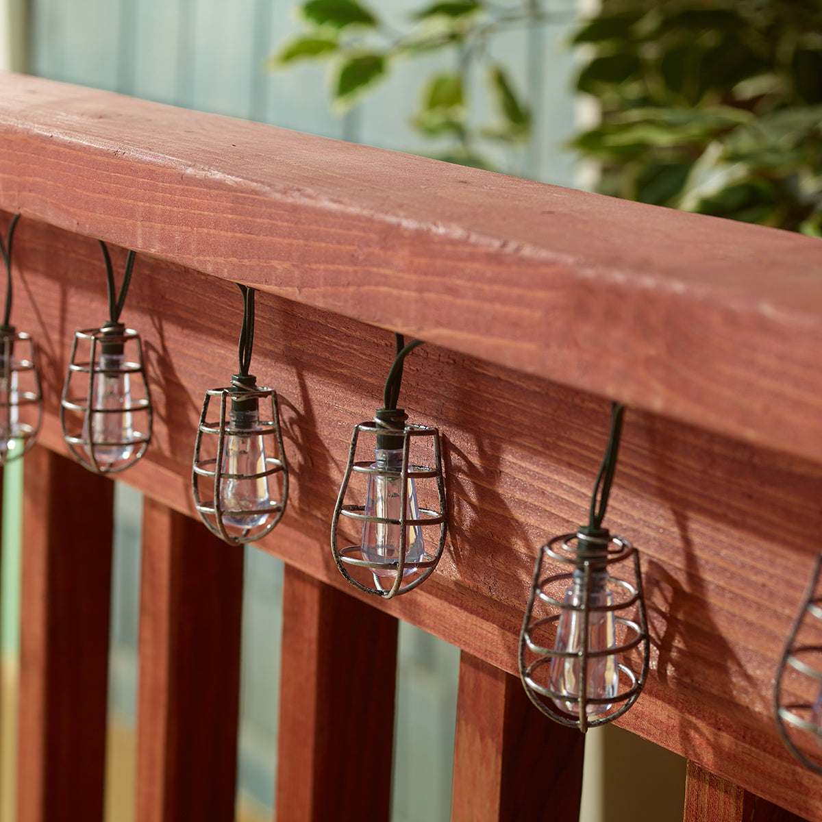 Cornelius Solar String Lights - Professional Series Info