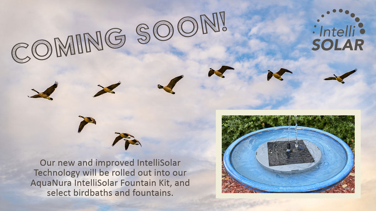 Coming Soon! IntelliSolar solar panel technology.